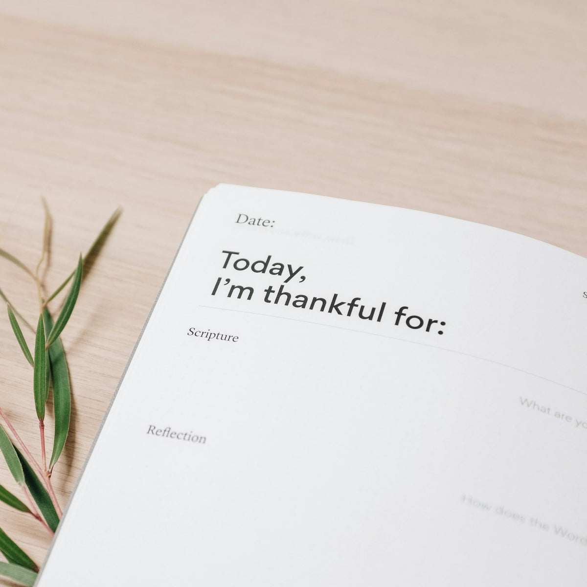 A gratitude journal open with handwritten notes